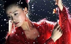 女人下部毛毛高请